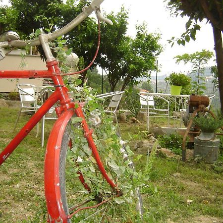 La Dolce Vita B&B Noli Dış mekan fotoğraf