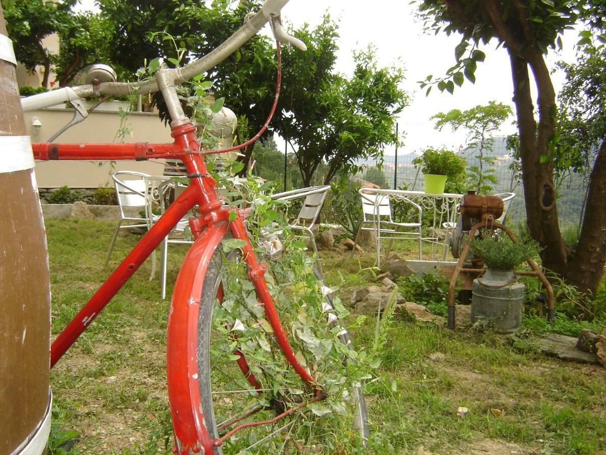 La Dolce Vita B&B Noli Dış mekan fotoğraf