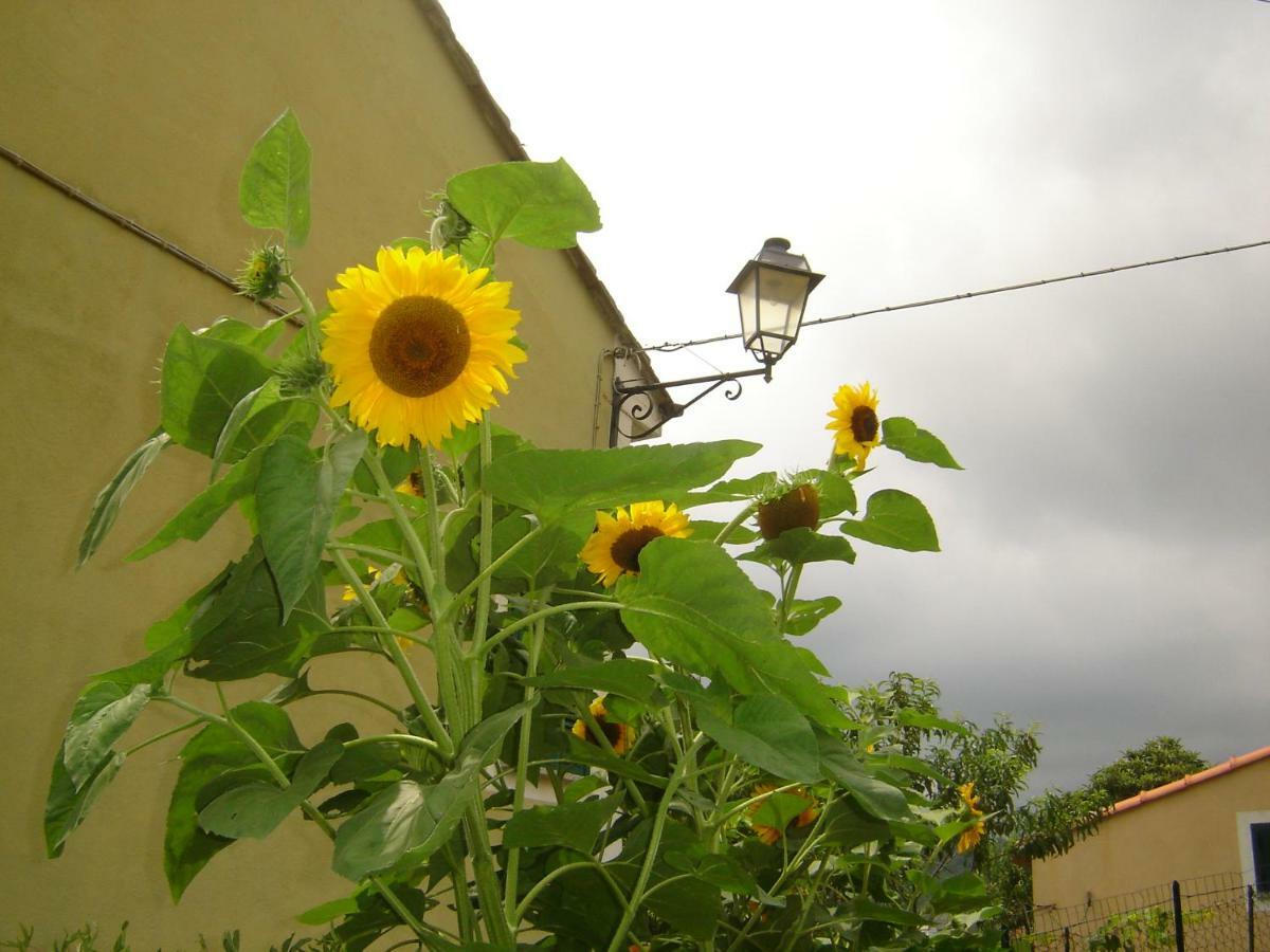 La Dolce Vita B&B Noli Dış mekan fotoğraf