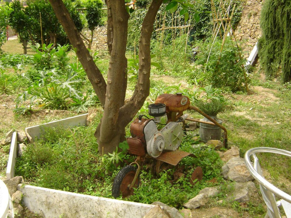 La Dolce Vita B&B Noli Dış mekan fotoğraf